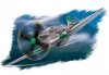 Hobby Boss 80230 P-51D Mustang (1:72)
